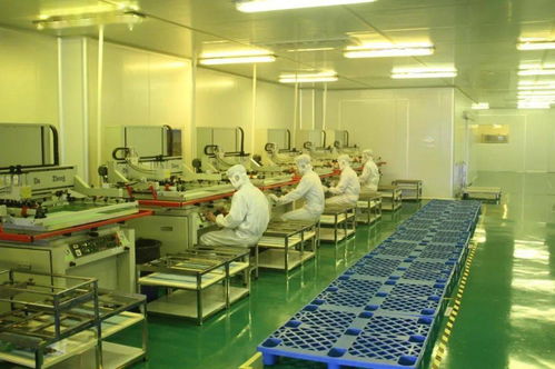 中共湛江市委十一屆十次全會工作報告要點 深化人力資源服務，規范職業中介活動，賦能高質量發展