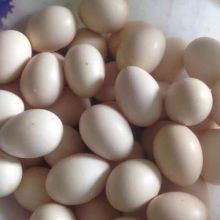 南華縣五頂山鄉(xiāng) 農(nóng)家散養(yǎng)新鮮土雞蛋，30枚包郵到家