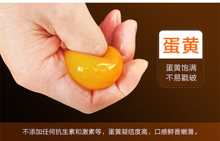 品味天然生態(tài)，福德錦放養(yǎng)土雞蛋——健康與禮遇的雙重臻選