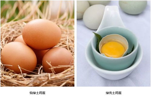 年味里的仙居 1月28日，臺(tái)創(chuàng)園邀你赴一場(chǎng)鄉(xiāng)土之約