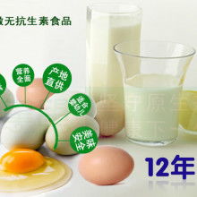 永州掌望生態(tài)農(nóng)業(yè) 自然散養(yǎng)土雞蛋，每一口都是原生態(tài)的饋贈(zèng)