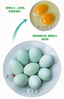 夾江特產(chǎn)烏雞蛋 30枚新鮮綠殼土雞蛋的地道美味