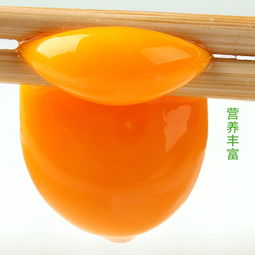 宿松深山里的“黃金蛋” 五谷喂養(yǎng)柴雞蛋，50枚包郵直達(dá)餐桌