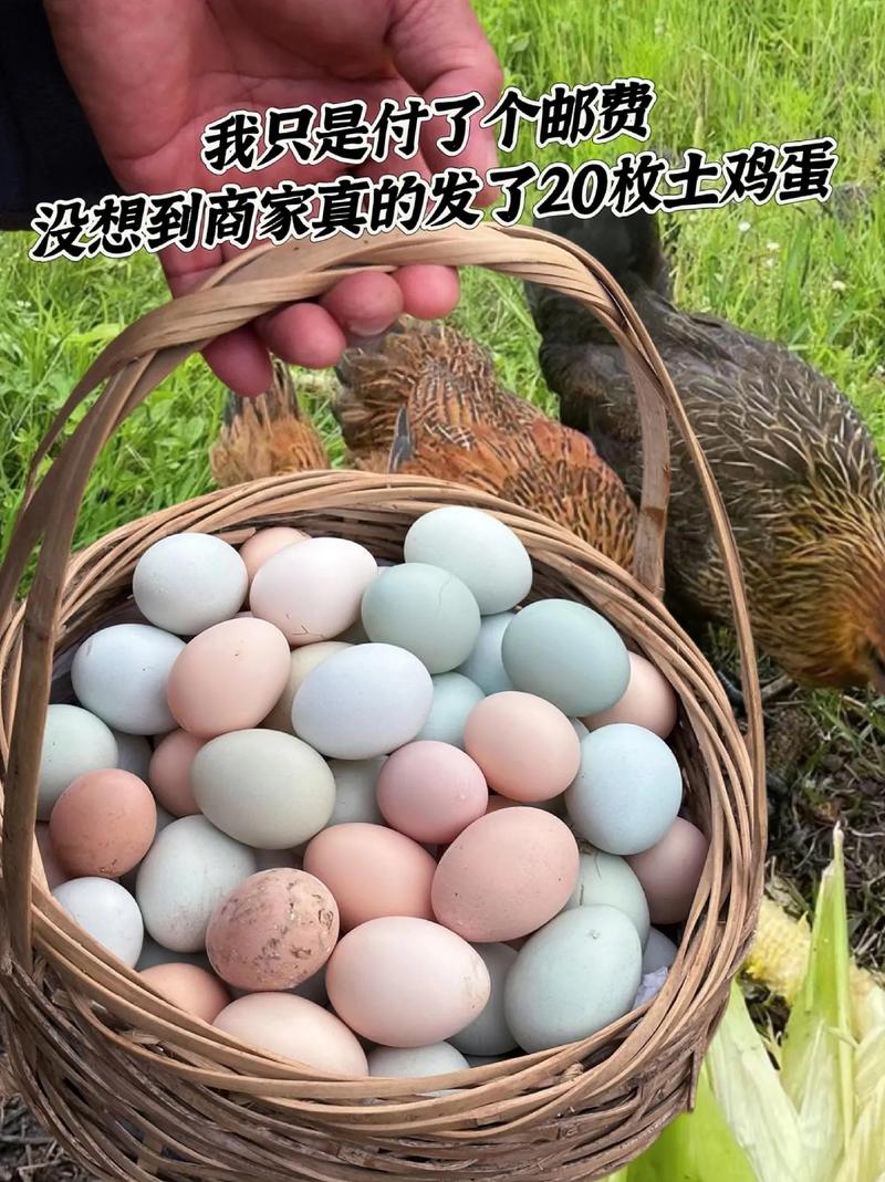 20枚農(nóng)家散養(yǎng)土雞蛋 自然饋贈(zèng)的純粹與安心